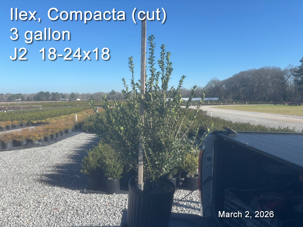 gallery/comp3 j2CUT mar2.jpg